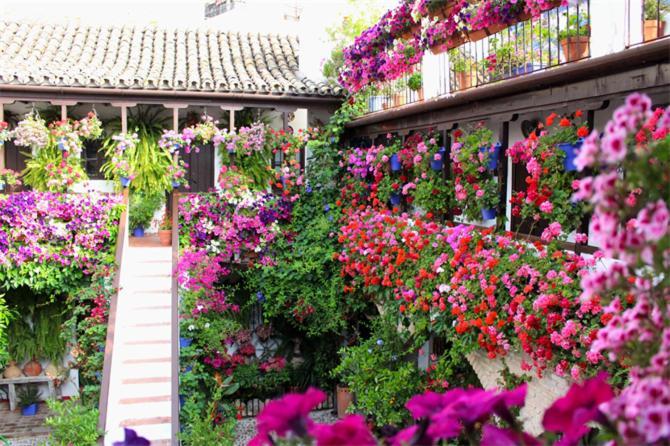 Apartamentos Los Patios De San Agustin Кордова Екстер'єр фото